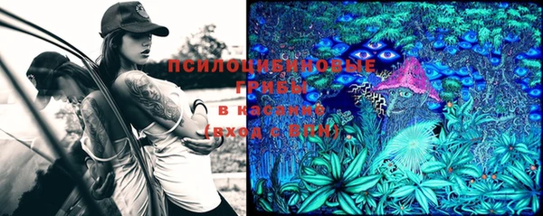 винт Бородино