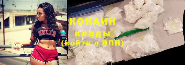 мдпв Верхний Тагил