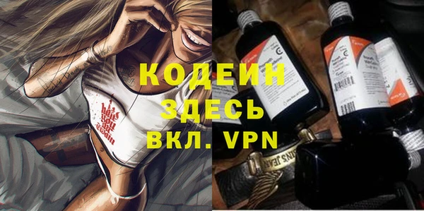 мдпв Верхний Тагил