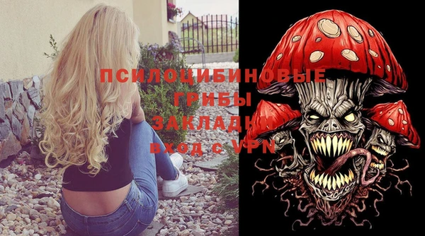 не бодяженный Богородицк