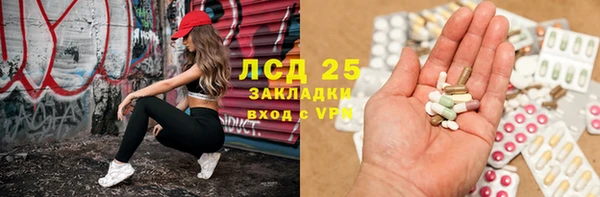 винт Бородино
